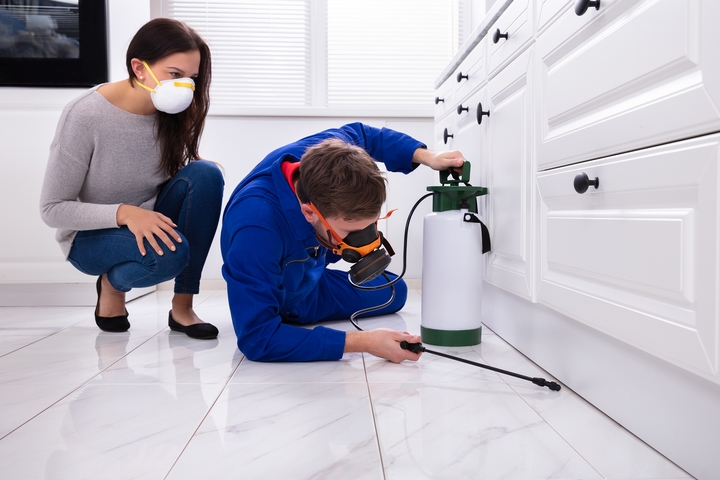 pest control companies in irving tx 46-2-1